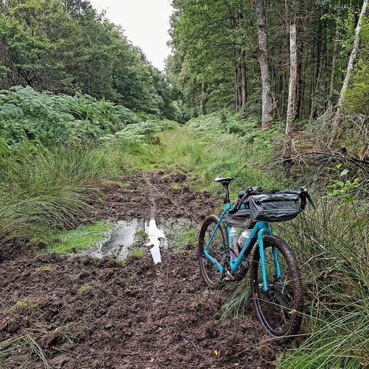 Carbon gravel bike